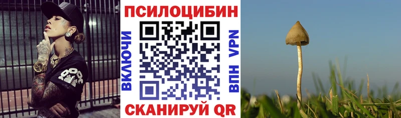цена   Малаховка  Псилоцибиновые грибы GOLDEN TEACHER 
